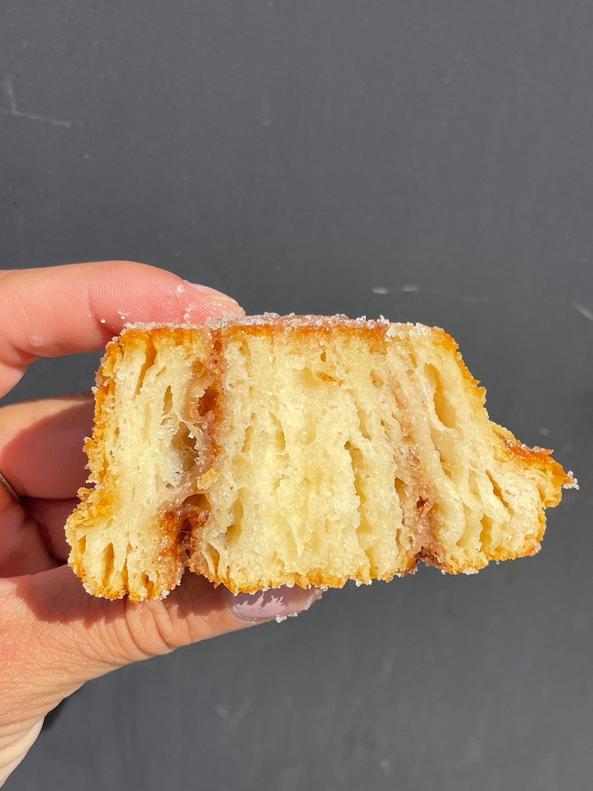 Steve's GF Bread Flour Blend