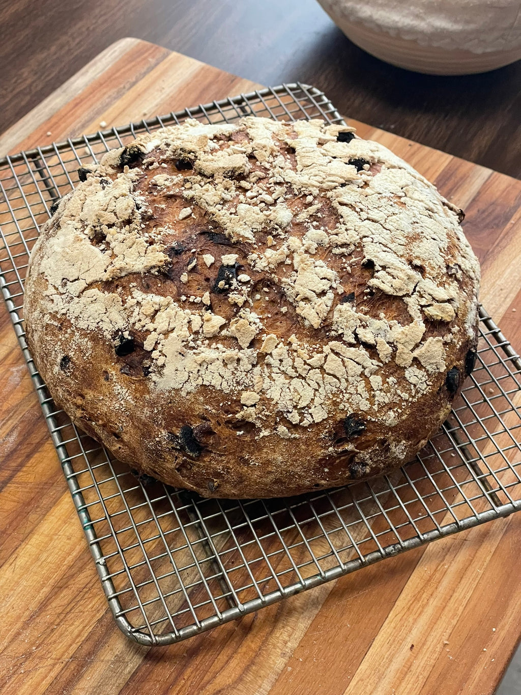 Steve's GF Bread Flour Blend