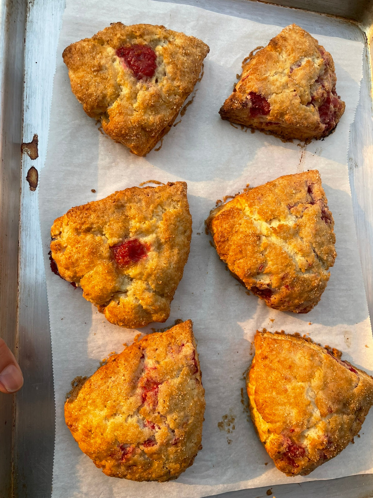 Steve's GF Cake Flour Blend